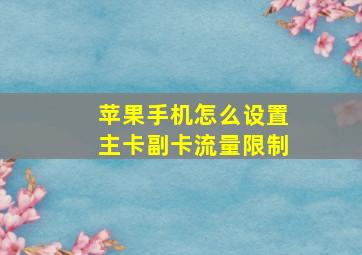 苹果手机怎么设置主卡副卡流量限制