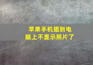 苹果手机插到电脑上不显示照片了