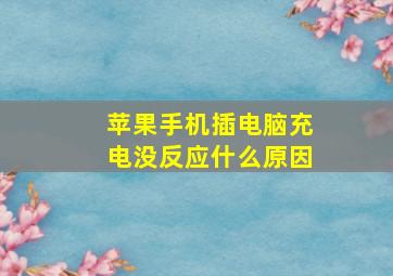 苹果手机插电脑充电没反应什么原因