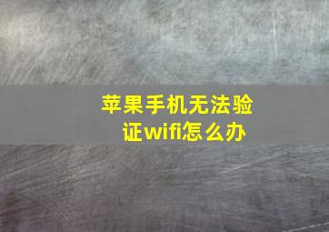 苹果手机无法验证wifi怎么办