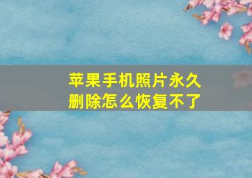 苹果手机照片永久删除怎么恢复不了