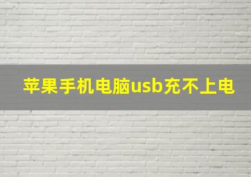 苹果手机电脑usb充不上电