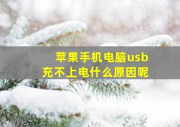 苹果手机电脑usb充不上电什么原因呢