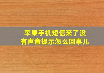 苹果手机短信来了没有声音提示怎么回事儿