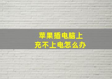 苹果插电脑上充不上电怎么办