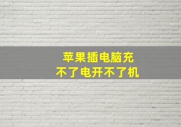 苹果插电脑充不了电开不了机