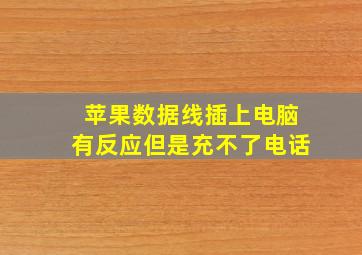 苹果数据线插上电脑有反应但是充不了电话