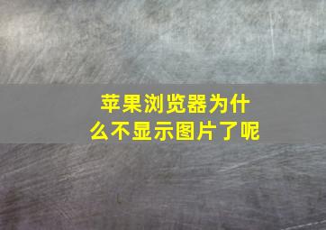 苹果浏览器为什么不显示图片了呢