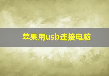 苹果用usb连接电脑