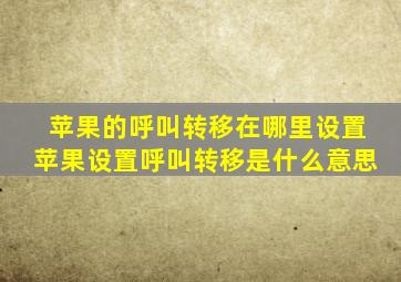 苹果的呼叫转移在哪里设置苹果设置呼叫转移是什么意思