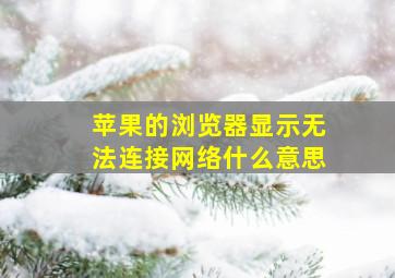 苹果的浏览器显示无法连接网络什么意思