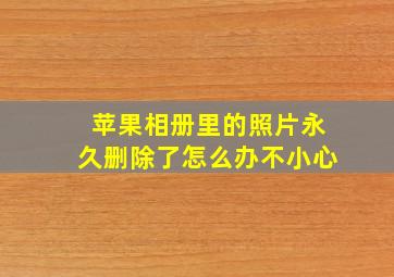 苹果相册里的照片永久删除了怎么办不小心