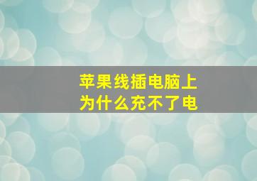 苹果线插电脑上为什么充不了电