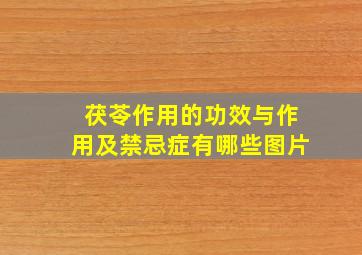 茯苓作用的功效与作用及禁忌症有哪些图片