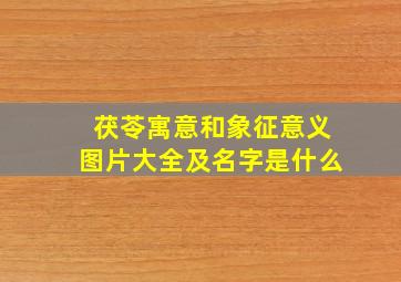 茯苓寓意和象征意义图片大全及名字是什么