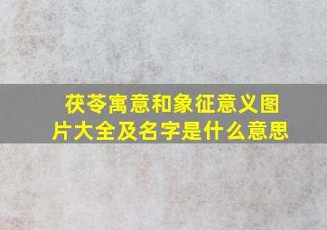 茯苓寓意和象征意义图片大全及名字是什么意思