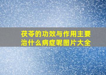 茯苓的功效与作用主要治什么病症呢图片大全