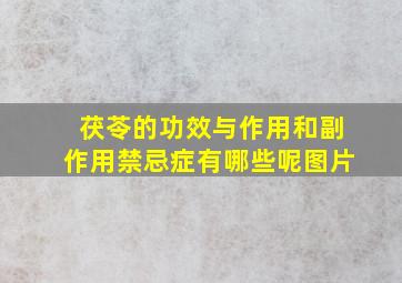 茯苓的功效与作用和副作用禁忌症有哪些呢图片