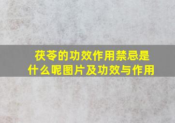 茯苓的功效作用禁忌是什么呢图片及功效与作用