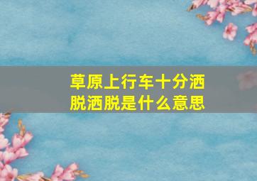 草原上行车十分洒脱洒脱是什么意思