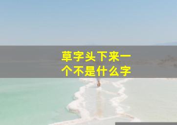 草字头下来一个不是什么字