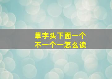 草字头下面一个不一个一怎么读