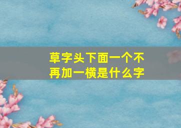 草字头下面一个不再加一横是什么字