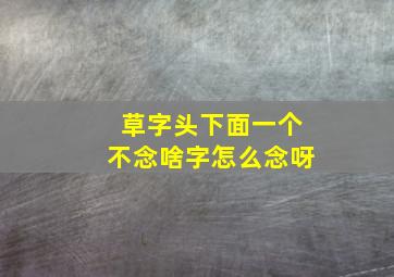 草字头下面一个不念啥字怎么念呀