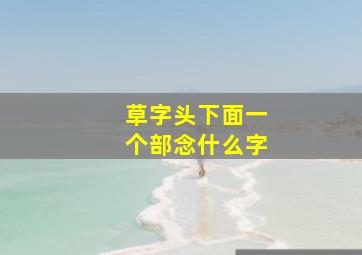 草字头下面一个部念什么字