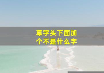 草字头下面加个不是什么字