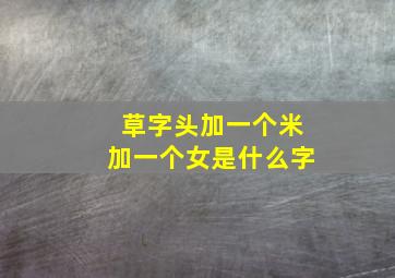 草字头加一个米加一个女是什么字