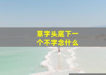 草字头底下一个不字念什么