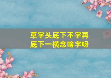 草字头底下不字再底下一横念啥字呀