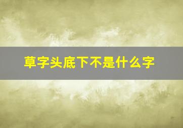 草字头底下不是什么字