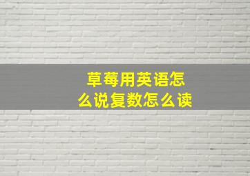 草莓用英语怎么说复数怎么读