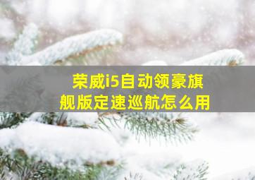 荣威i5自动领豪旗舰版定速巡航怎么用