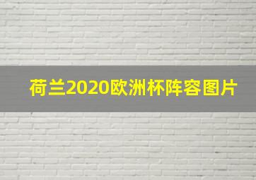 荷兰2020欧洲杯阵容图片