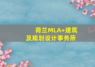 荷兰MLA+建筑及规划设计事务所