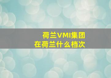 荷兰VMI集团在荷兰什么档次