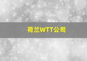 荷兰WTT公司