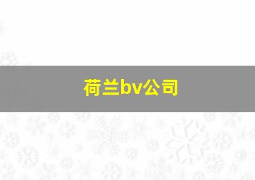 荷兰bv公司