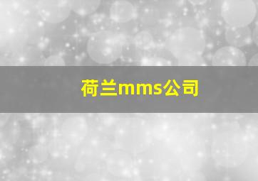 荷兰mms公司