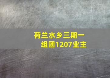 荷兰水乡三期一组团1207业主