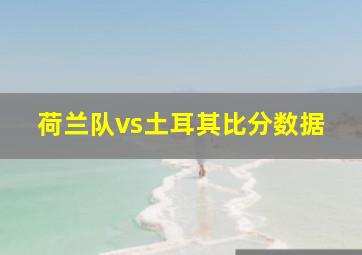 荷兰队vs土耳其比分数据