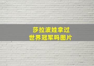 莎拉波娃拿过世界冠军吗图片