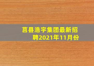 莒县浩宇集团最新招聘2021年11月份