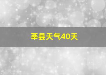 莘县天气40天