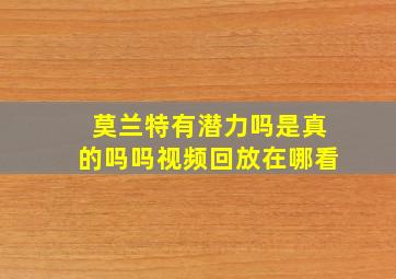 莫兰特有潜力吗是真的吗吗视频回放在哪看