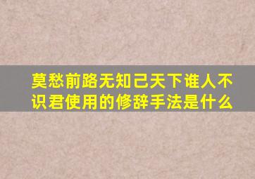 莫愁前路无知己天下谁人不识君使用的修辞手法是什么