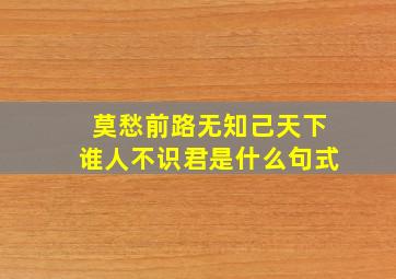 莫愁前路无知己天下谁人不识君是什么句式